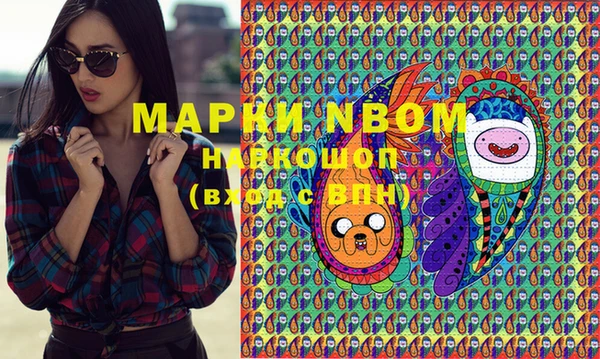 ПСИЛОЦИБИНОВЫЕ ГРИБЫ Гусев